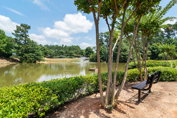 Community pond with fountain